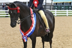 Harrison-bate-and-Valentine-Siw