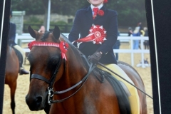 Holly-Beaumont-and-Barkway-Fascination