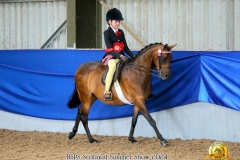 Peggie-Lancaster-and-Braeglen-Toyfair