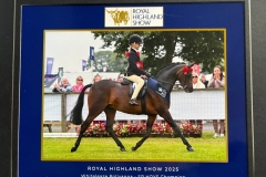 Penny-Richardson-Horse_Pony-Whiteleaze-Pollyanna