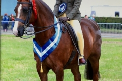 Isabella-O’Donnell-and-Millwood-Kaiser-Chief