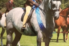 Lily-brennan-and-Thistledown-sea-mariner