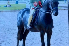 Casey-Cohane-and-Newoak-Onyx