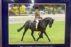 Casey-cohane-and-Newoak-onyx