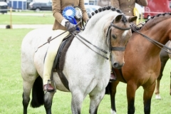 Summer-Boustead-and-Annandale-Earl-Grey