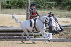 Issie-Lea-Horse_Pony-Thistledown-Sea-Mariner