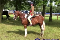 Kizzie-Lucas-and-Frosthill-Jackaroo