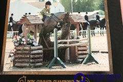 Lottie-Nixon-and-Mynyddmorfa-Susanna