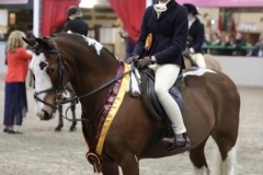 Isla-coad-and-Frosthill-jackaroo