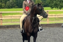 Bluebell-Beechey-and-Annandale-Cufflink