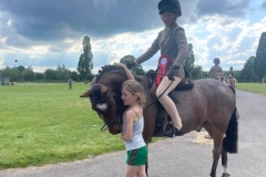 Ila-Wingrove-and-Fortview-Mr-Darcy