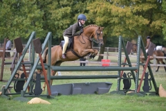 Eliza-Coats-Horse_Pony-Eyarth-Kadjar