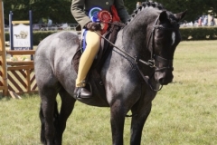 Guy Hamilton and Nellfield Blueboy