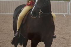 Ella Willshaw and Doulton Serenity