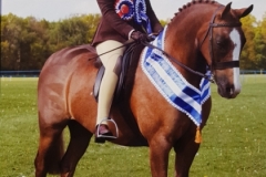 Freya Wilson and Colby Voyager