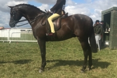 Harrison Fewings and Annandale Cufflink