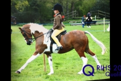 Maisie Chester and Maplebridge Good Friday copy