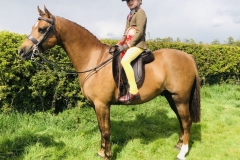 Jessica-Burdess-and-Trefriw-Mr-Chips