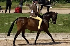 Millie-ramshaw-and-Thornsett-Valentino