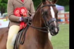 Georgina-Storey-and-Greylands-Maid-At-Sundown