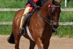 Olivia-Ferns-and-Barkway-Blue-Moon