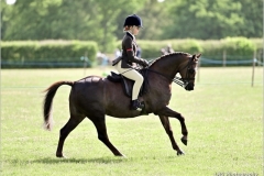 Bonita-Bowman-Horse_Pony-Annandale-Matilda