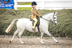 Casey-Lee-Millar-Horse_Pony-Out-of-The-West