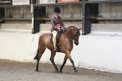 Immy-Strathern-Horse_Pony-Westerdale-Forget-Me-Not-Too