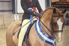 Lily-Cowley-Bickenson-Horse_Pony-Sancarlo