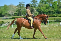 Lottie-Cunliffe-Horse_Pony-Glengaris-Little-Secret