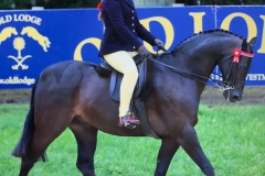 Harriet-Drewery-and-Archwood-Romeo-Gigle-copy