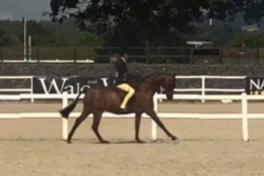 Kizzie-Lucas-and-Broadgrove-Showman