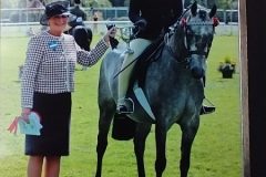 Sophie-Hatswell-and-Hollyland-lion-in-winter