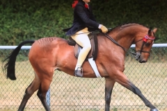 Cerys-holley-and-Rotherwood-toy-chorus