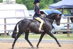 Pearl-Morris-and-Field-Aston-Diamante