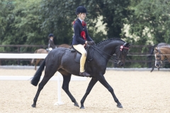 Pearl-Morris-Horse_Pony-Field-Aston-Diamante