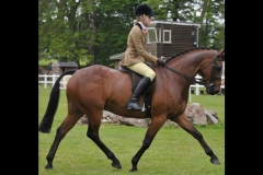 Highmead Assurance & Alexia Trodd-Bohin