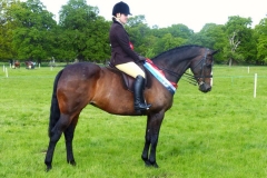 Lady Liberty and Emily Davidson