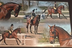 Melissa Grace Hatton and Deja-vu