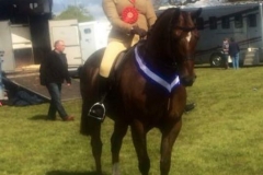 Week Orchard Rolo & Katie Baybutt