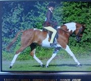 Georgia Aungier and Allandy Gold Spark