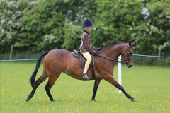 Oliver Bradshaw & Wynnmere Lilliput