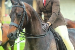 Aliya-Khan-and-Litton-Salvador