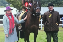 Gigi-Gough-and-Bloomfield-Pocket-Money