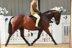 Rhea-Shakespeare-and-Clearbeck-vivaldi