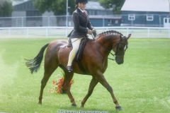 Emily-Locke-and-Wyndham-Hot-Gossip