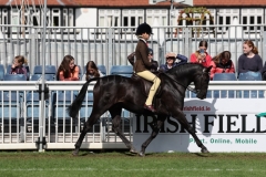 Charlotte-Goor-and-Underhill-bobcat