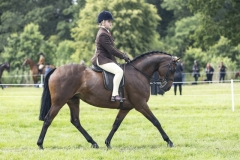 Niamh-Evans-and-Highmead-Maybe-The-Truth