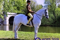 Lola Bass and Landslow Melody Maker