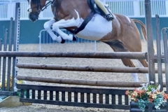 Gracie-Aungier-and-AllAndy-Gold-Spark